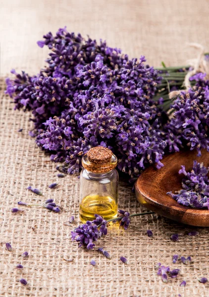 Produto de lavanda, oi — Fotografia de Stock