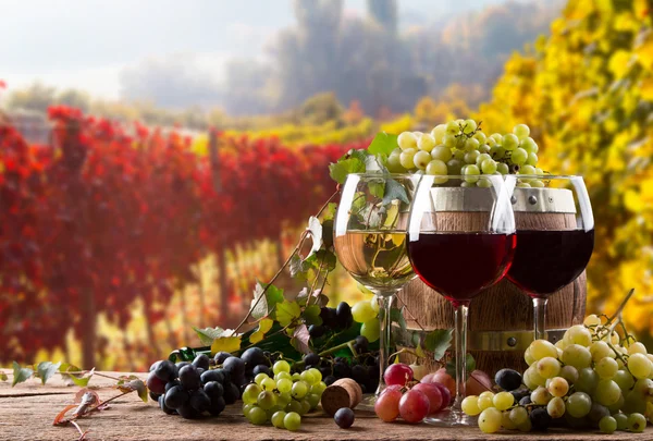 Kırmızı, beyaz şarap şişeleri ve ayaklı büyük kadehler — Stok fotoğraf
