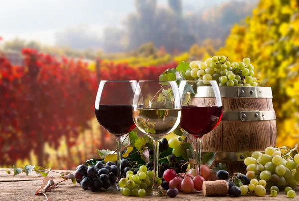 Kırmızı, gül, beyaz şarap şişeleri ve ayaklı büyük kadehler — Stok fotoğraf