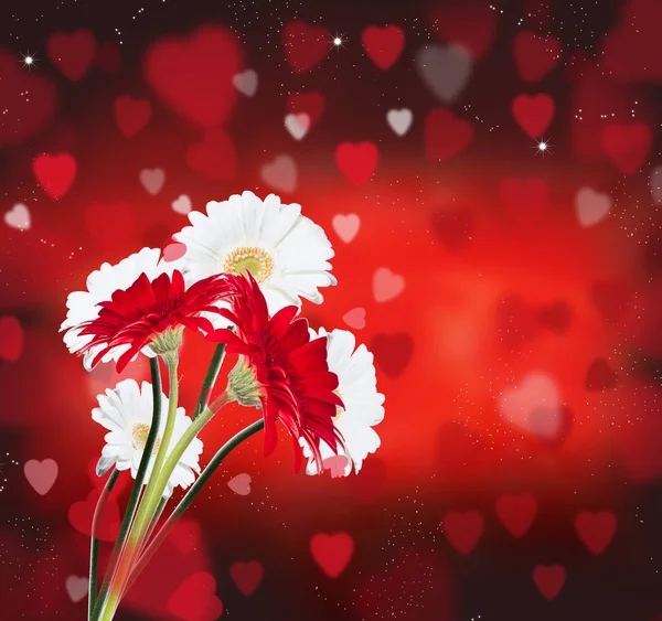 Červené Růže Srdce Pozadím Valentine Koncept Příroda Krásné Červené Růže — Stock fotografie