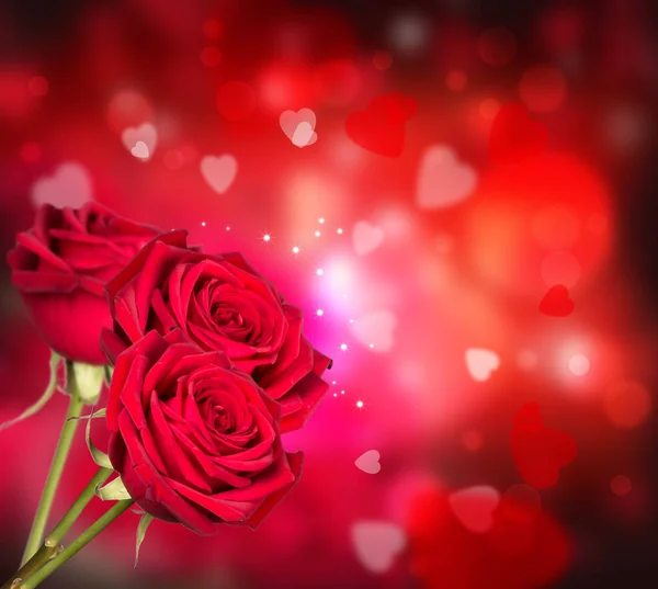 Kırmızı Güller Kalpleri Arka Plan Sevgililer Kavramı Doğa Arka Plan — Stok fotoğraf