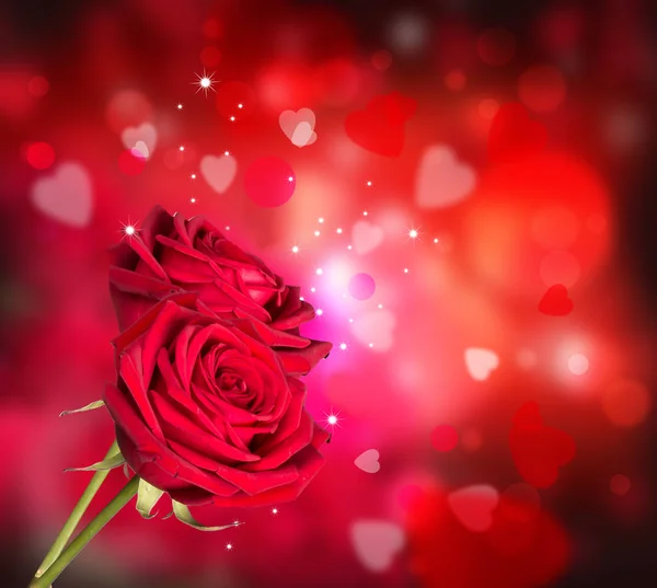 Rose Rosso Cuori Sfondo Concetto Valentine Natura Bellissime Rose Rosse — Foto Stock