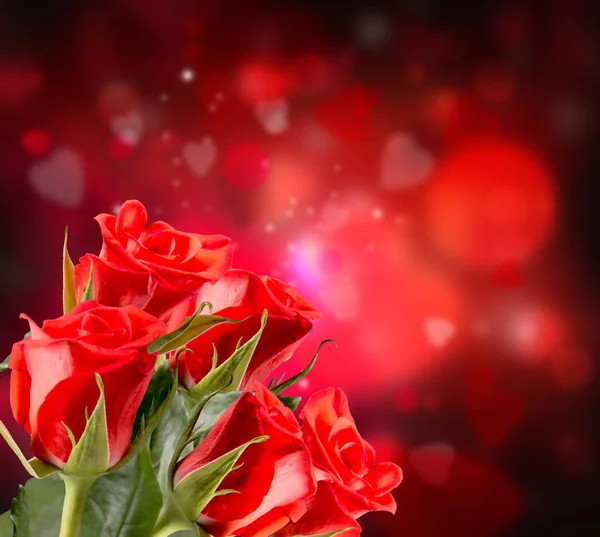 Röda Rosor Och Hjärtan Bakgrund Valentine Koncept Natur Och Vackra — Stockfoto