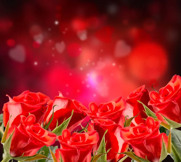 玫瑰红色和心背景 情人节的概念 自然和美丽的红色玫瑰花束在抽象背景 情人节 — 图库照片