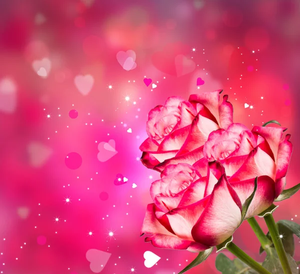 Rosas Vermelhas Fundo Corações Conceito Valentine Natureza Belas Rosas Vermelhas — Fotografia de Stock