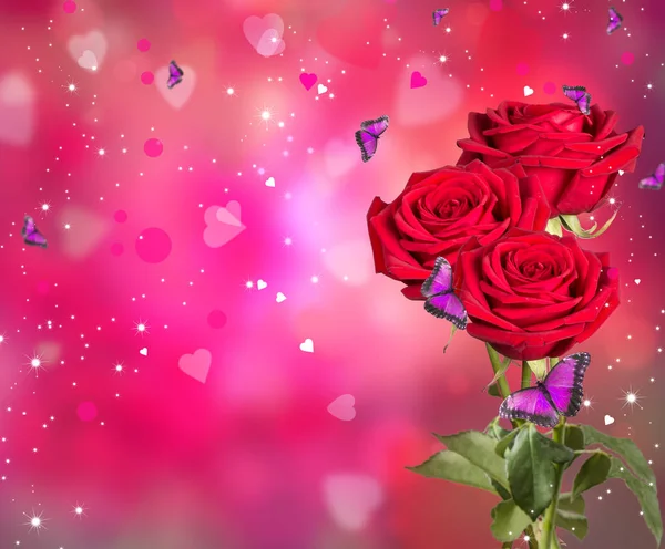 Rose Rosso Cuori Sfondo Concetto Valentine Natura Bellissime Rose Rosse — Foto Stock