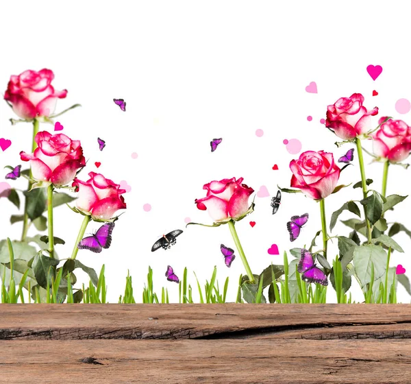 Bahar Çiçek Beyaz Arka Plan Üzerinde Izole — Stok fotoğraf