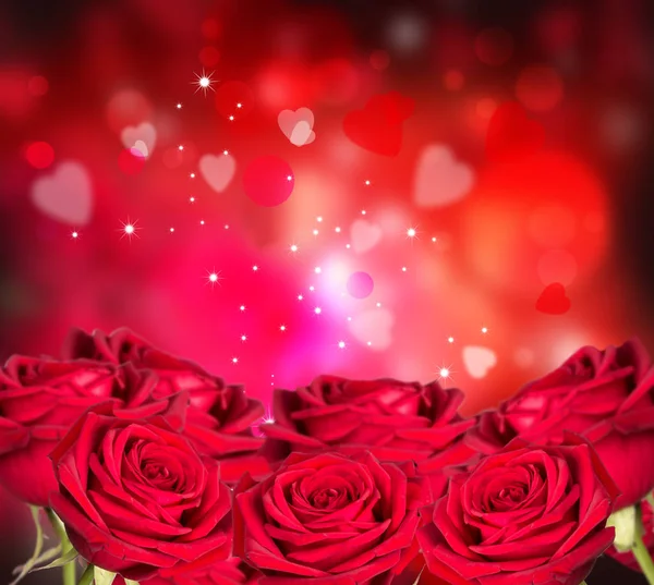 Rode Rozen Harten Achtergrond Valentine Concept Natuur Mooie Rode Rozen — Stockfoto