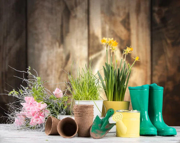 Péages de jardin avec bois — Photo