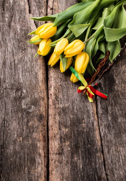 Flor de tulipas primavera — Fotografia de Stock