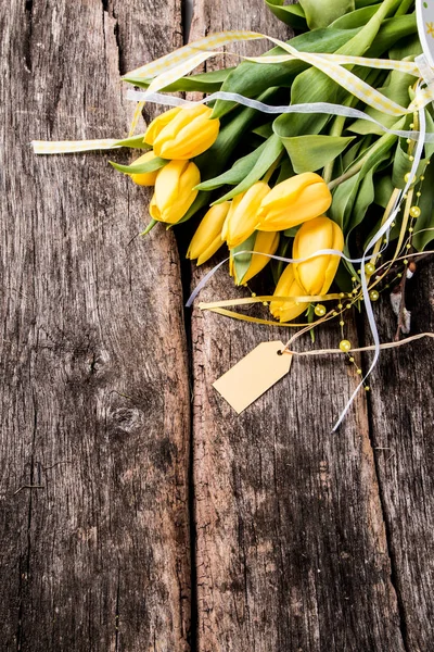Frühlingstulpen blühen — Stockfoto