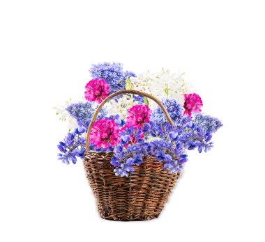 Bahar çiçek, beyaz arka plan üzerinde izole