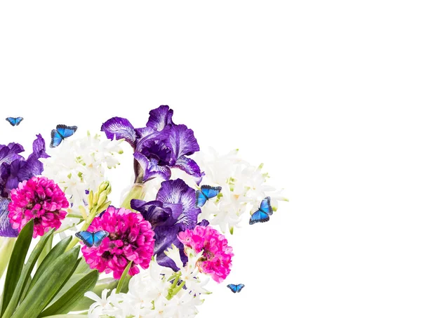 Весенний Цветок Выделенный Белом Фоне — стоковое фото