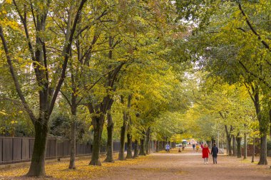 Mars 'ın Tarlaları' nda yürürken