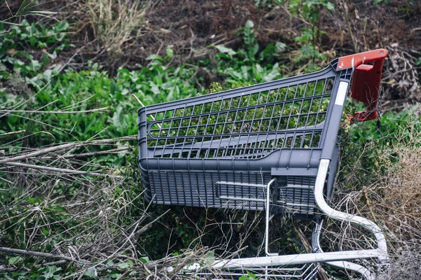 Σκουπίδια Πεσμένα Στο Έδαφος Βρωμιά Στη Φύση Καλάθι Αγορών Βλάστηση — Φωτογραφία Αρχείου