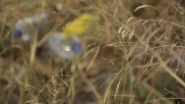 Doğada yerde plastik şişe var.