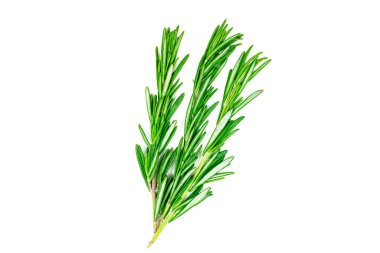 İzole edilmiş üst manzara bembeyaz arka planda taze yeşil biberiye yaprakları, dallar ve dallar uzanıyor..