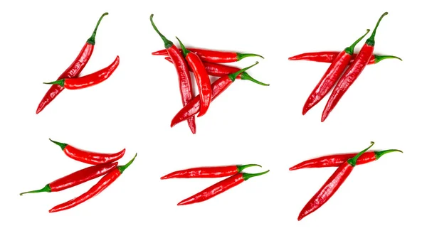 Fresh Red Hot Chilli Pepper Set Collection Isolated White Background — Stock Photo, Image