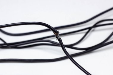 Beyaz arka planda siyah elektrik kablosu olan fareler tarafından zarar görmüş. Tehlikeli kırık elektrik kablosu.