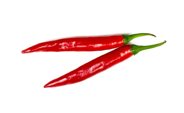 Fresh Red Hot Chilli Pepper Isolated White Background — Stock Photo, Image