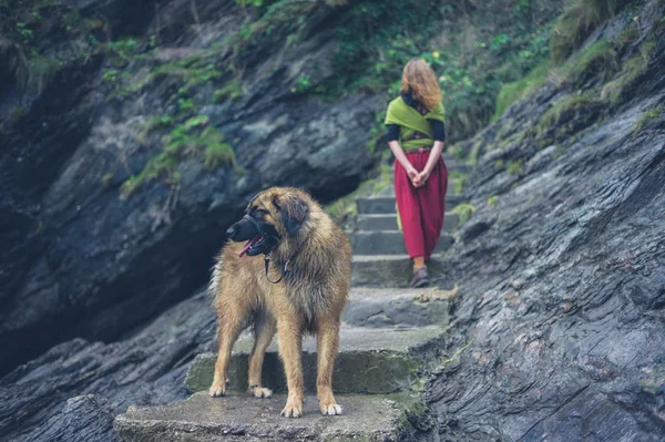 Genç Bir Kadın Kadar Dışında Bazı Adımlar Doğada Köpeğiyle Yürüyor — Stok fotoğraf
