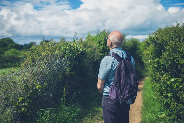 Ein Älterer Mann Steht Einem Sommertag Draußen Der Natur — Stockfoto