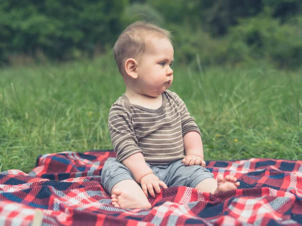 Piccolo Bambino Carino Seduto Natura Una Coperta Picnic — Foto Stock