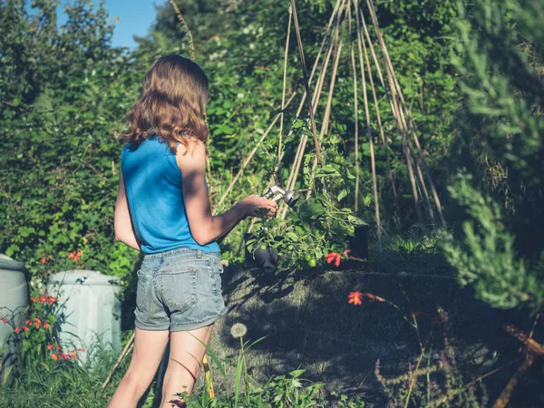 Jonge vrouw haar tuin water te geven — Stockfoto