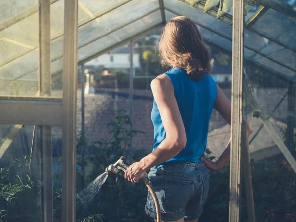 Mujer joven regando tomates en su invernadero — Foto de Stock