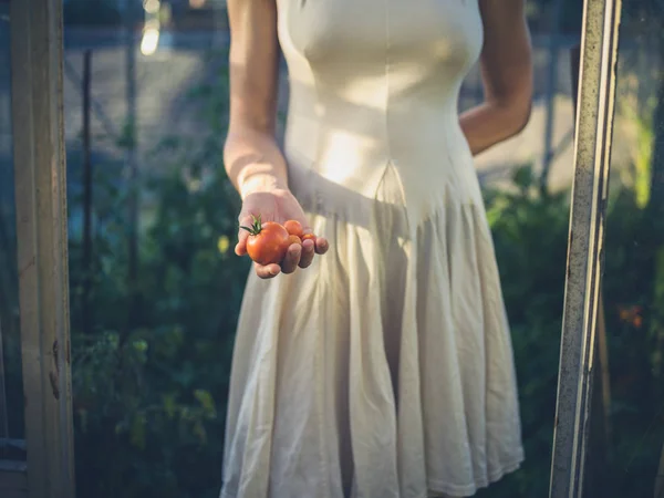 Kvinna i klänning med tomater i växthus — Stockfoto