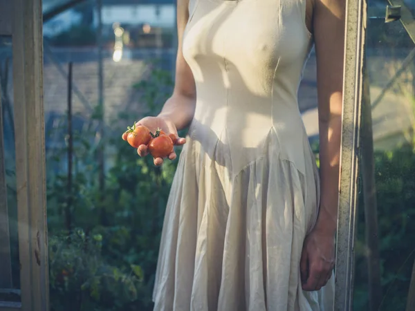 Vrouw in jurk met tomaten in de serre — Stockfoto