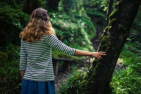 Mulher descansando a mão em uma árvore na floresta — Fotografia de Stock