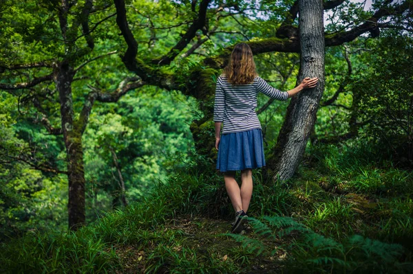 Ung kvinna promenader i skogen — Stockfoto