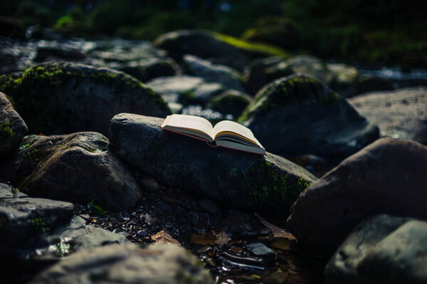 An open book on some rocks in the river