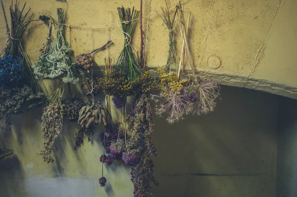 Herbs drying by fireplace — Stock Photo, Image