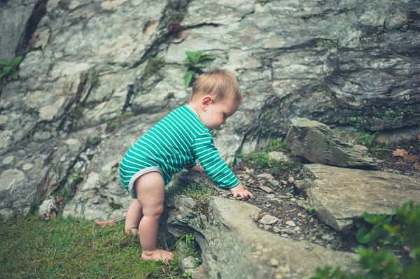 Маленький ребенок, окунающий природу камнями — стоковое фото