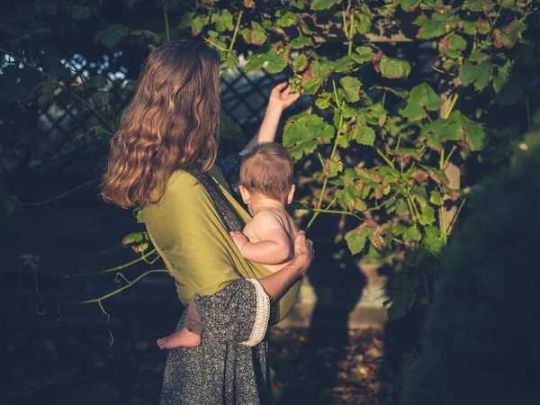 정원에서 포도 감동 하는 아기와 엄마 — 스톡 사진