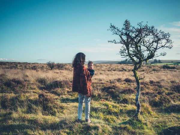 Vahşi ağacında hazır bebek ile anne