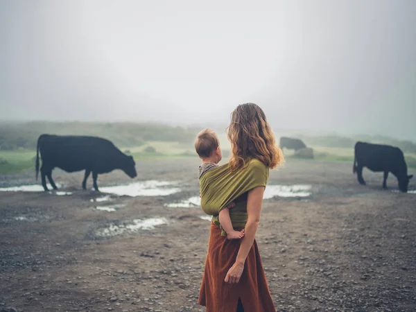 Madre con bebé en cabestrillo mirando vacas —  Fotos de Stock