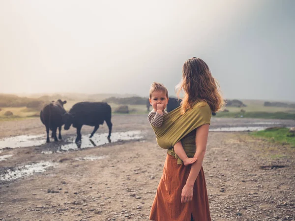 Madre con bambino in fionda guardando le mucche — Foto Stock