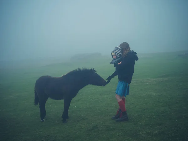 Madre con bebé acariciando pony salvaje —  Fotos de Stock