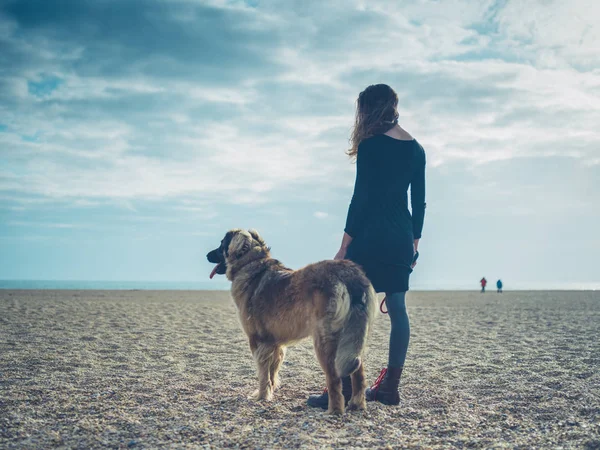 Young woman on beach with giant dog — Stock Photo, Image