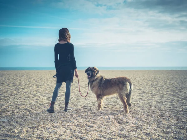 Young woman on beach with giant dog — Stock Photo, Image