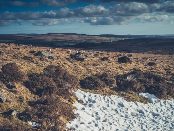 Snow Melting Moor — Stock Photo, Image