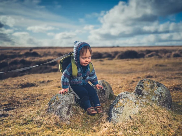 Petit Garçon Mignon Est Assis Sur Rocher Sur Lande — Photo