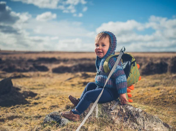 Petit Garçon Mignon Est Assis Sur Rocher Sur Lande — Photo