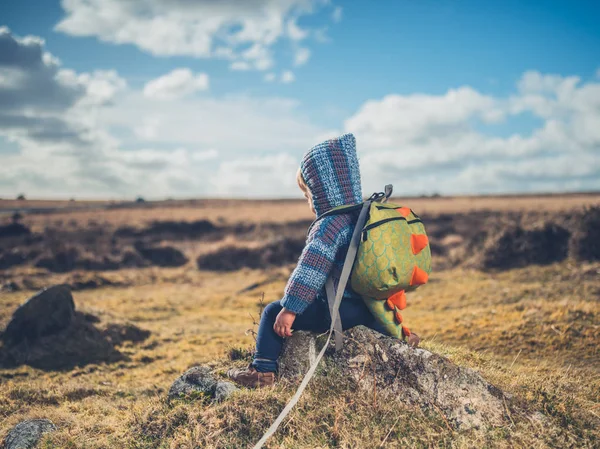 かわいい男の子は湿原で岩に座っています — ストック写真