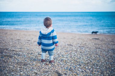Sevimli küçük bir çocuk sahilde bir kış gününde duruyor