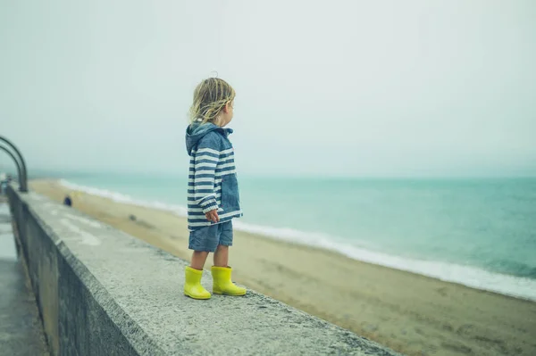Hava Şartlarına Dayanıklı Küçük Bir Çocuk Yağmur Altında Deniz Kenarındaki — Stok fotoğraf