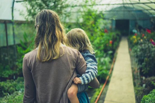 Una Joven Madre Está Explorando Invernadero Con Hijo Pequeño Sus — Foto de Stock